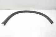 Schutzleiste Kotflügel BMW X6 (E71, E72) 7176236