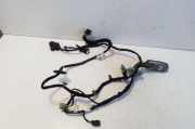 Kabel Tür Opel Ampera (D1JOI) 22896693