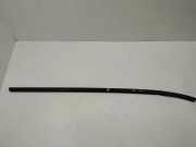 Vertikale Verkleidung an der hinteren linken Tür NISSAN MURANO I (Z50) 3.5 4x4