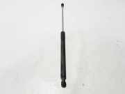 Heckklappe Gasdruckfeder rechts RENAULT LAGUNA III (BT0/1) 2.0 dCi GT (BT1E, BT1N) 844300006R