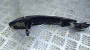 Türaußengriff links BMW X6 (F16, F86) xDrive 30 d 7422104