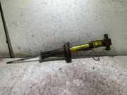 Stoßdämpfer hinten rechts CADILLAC CTS 2.8