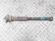 Stoßdämpfer hinten rechts VW PASSAT B5 (3B2) 1.9 TDI 556277 814901556277