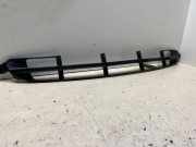 Gitter vorne unten SMART FORFOUR (454) 1.5 CDI (454.000) A4548880160