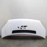 Motorhaube FORD TRANSIT Furgon 2.2 TDCi 1742622