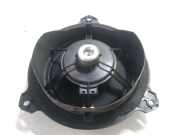 Türlautsprecher hinten links