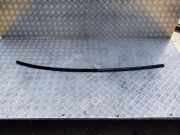 Dachleiste links JAGUAR XF (X250) 2.2 D