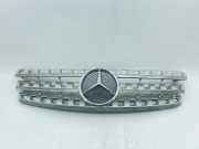Vorderer oberer Gitter MERCEDES-BENZ M (W164) ML 350 4-matic (164.186) A1648880523