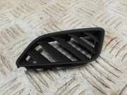 Ziergitter Audi A4 Allroad (8W, B9)