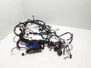 Kabelbaum Renault Scenic IV (J9) 240135456R