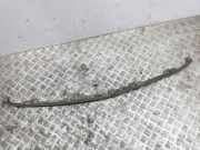 Zierleiste Toyota Prius (W3)