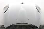 Motorhaube Mini Mini Countryman (R60) LIGHTWHITEB15