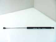 Heckklappe Gasdruckfeder links RENAULT LAGUNA II (BG0/1_) 1.9 dCi 8200000902B