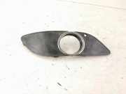 Gitter vorne unten MERCEDES-BENZ B (W245) B 180 CDI (245.207) A1698851222 1698851222
