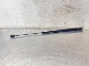 Heckklappe Gasdruckfeder links OPEL SIGNUM 2.0 DTI 13247868