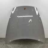 Motorhaube PORSCHE Taycan Cross Turismo (Y1B) 4S 9J1823031AY