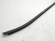 Vertikale Verkleidung an der hinteren linken Tür NISSAN JUKE (F16) DIG-T 117