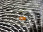 Blinker Kotflügel links Suzuki Jimny (SN) 010175