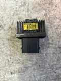 Zündkerzenrelais RENAULT TRAFIC II Furgon (FL) 2.0 dCi 115 (FL01, FL0U) 8200859243