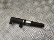 Zündspule RENAULT MEGANE II (BM0/1_, CM0/1_) 1.6 16V (BM0C, CM0C) 7700875000 8200765882