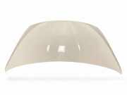 Motorhaube BMW 5 (F10) 520 d 9241492