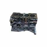Motorblock RENAULT MEGANE II (BM0/1_, CM0/1_) 1.5 dCi K9K858
