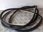 Türdichtung vorne rechts INFINITI EX 30d