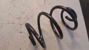 Fahrwerksfeder hinten rechts RENAULT TWINGO II (CN0_) 1.2 (CN0D)
