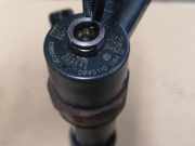 Einspritzdüse RENAULT LAGUNA II (BG0/1_) 2.2 dCi (BG0F) 0445110084