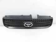 Gitter TOYOTA RAV 4 II (_A2_) 2.0 D-4D 4WD (CLA20_, CLA21_) 5311142090