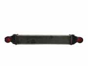 Ladeluftkühler Mercedes-Benz B-Klasse Sports Tourer (W245) A1695000000