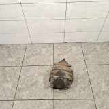 Differenzialgetriebe hinten MERCEDES-BENZ SL (R230) 500 (230.475) A2303510105