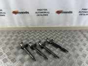 Düsenstöcke Ford Transit Pritsche (F**6) 6C109K546AC