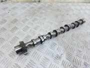 Nockenwelle AUDI A8 D3 (4E2, 4E8) 4.2 TDI quattro 057102BC