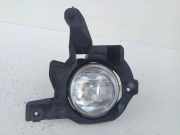 Nebelscheinwerfer links TOYOTA RAV 4 III (_A3_) 2.0 4WD (ACA30_) 5212842090