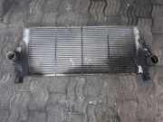 Ladeluftkühler RENAULT LAGUNA II (BG0/1_) 1.9 dCI (BG0E) 8200008761 8200008761C