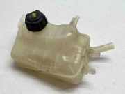 Ausgleichsbehälter RENAULT MEGANE III Hatchback (BZ0_) 1.5 dCi (BZ09, BZ0D) 217100005R