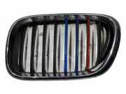Gitter Grill vorne links BMW X5 (E53) 3.0 d 8247675