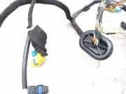 Kabel der vorderen linken Tür