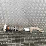 Stoßdämpfer vorne links AUDI Q5 (FY) 2.0 TFSI quattro 80A411105AD 814904012544