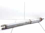 Stoßdämpfer vorne links