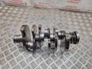 Kurbelwelle AUDI A6 (4F2, C6) 3.0 TDI quattro 059AE