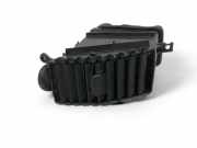 Lüftungsgitter Armaturenbrett Nissan Pathfinder III (R51) VP5NFX222058