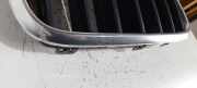 Kühlergrill oben BMW X5 (F15, F85) 7316075