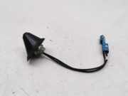 Antenne Dach Opel Antara (L07)