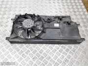 Elektrolüfter Renault Laguna Coupe (T) 214810044R