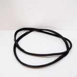 Türdichtungsgummi vorne links TOYOTA PRIUS (_W5_) 1.8 Hybrid N/A