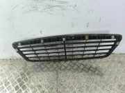 Vorderer oberer Gitter MERCEDES-BENZ S (W221) S 320 CDI (221.022, 221.122) A2218800083