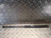 Gasfeder für Motorhaube Mercedes-Benz S-Klasse (W220) 2208800329