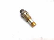 Zahnriemenspanner BMW 3 Compact (E46) 316 ti